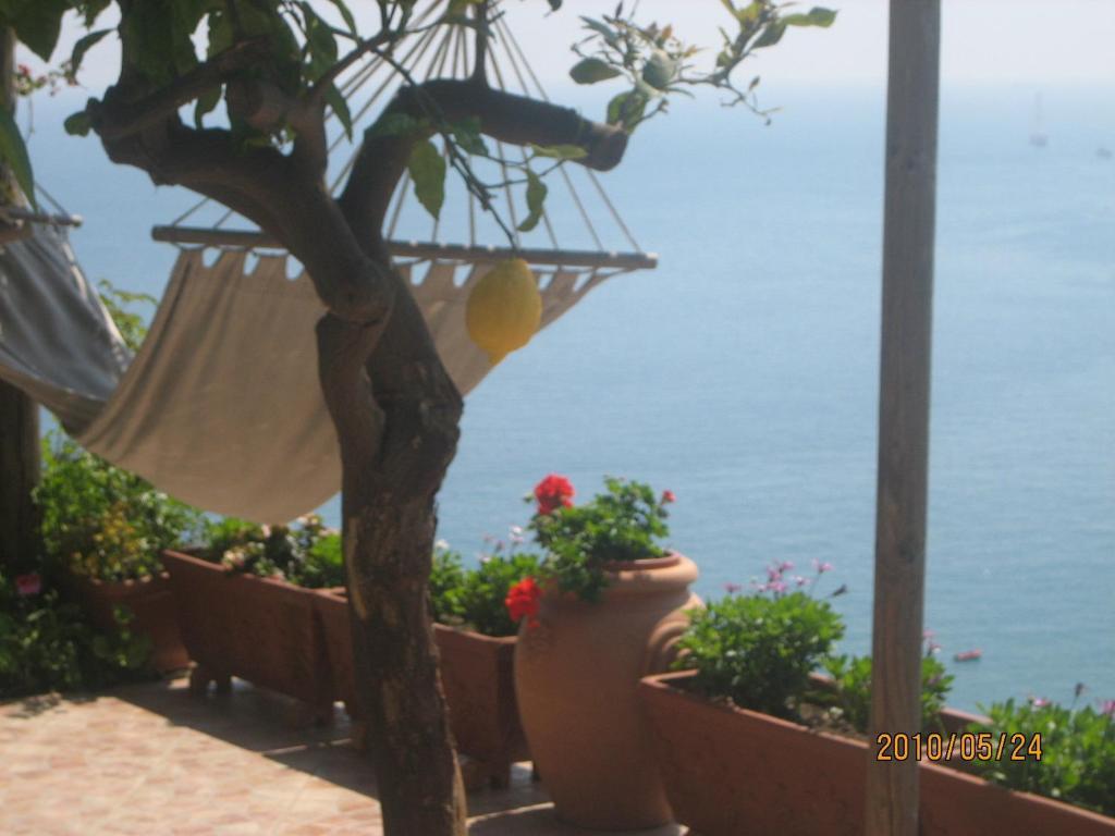 Villa Marietta Minori Ngoại thất bức ảnh